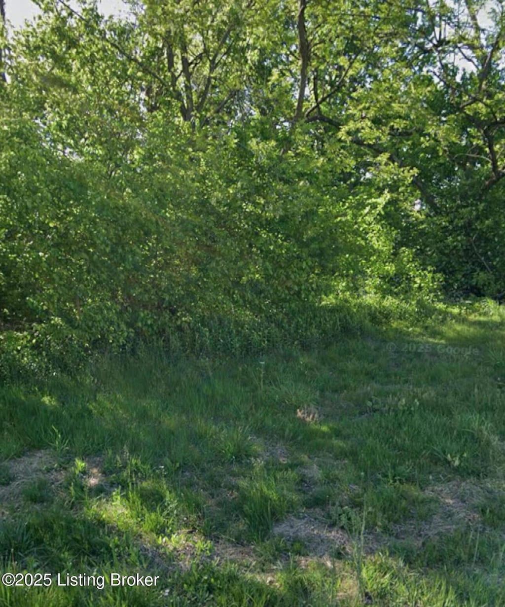 625 Kentucky Ave, Frankfort, KY 40601 - photo 4
