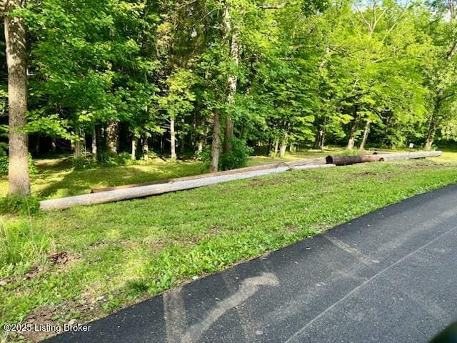 125/126 Bolten Ct, Shepherdsville, KY 40165 - photo 1