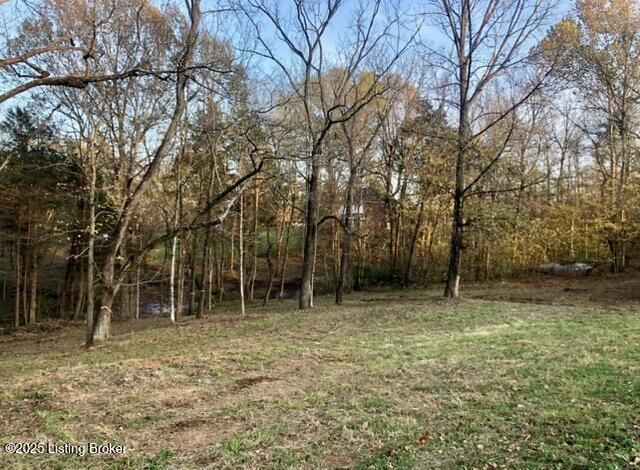 125/126 Bolten Ct, Shepherdsville, KY 40165 - photo 4