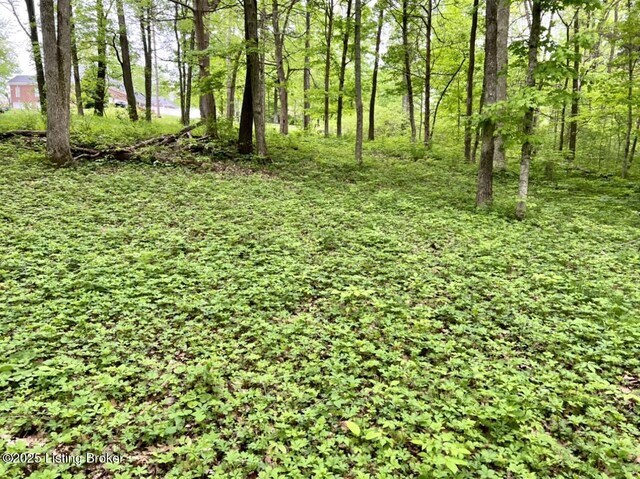 125/126 Bolten Ct, Shepherdsville, KY 40165 - photo 27