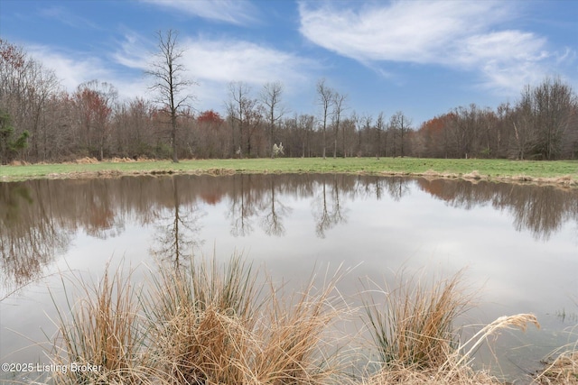1109 Holly Ave, Louisville, KY 40118 - water view with a heavily wooded area