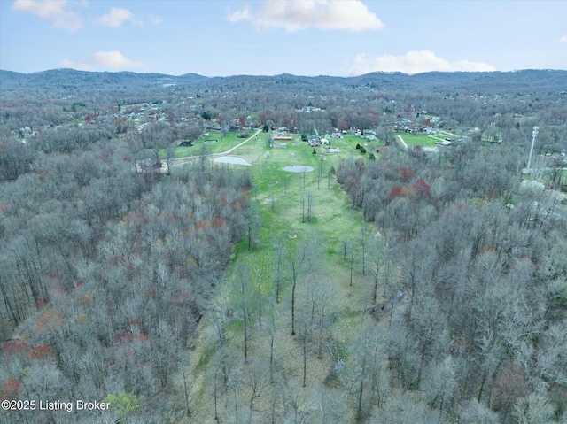 1109 Holly Ave, Louisville, KY 40118 - aerial overview of property's location with mountains and a forest