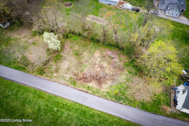 1935 Flood Rd, Shelbyville, KY 40065 - photo 2