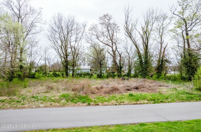 1935 Flood Rd, Shelbyville, KY 40065 - photo 7