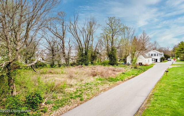 1935 Flood Rd, Shelbyville, KY 40065 - photo 8