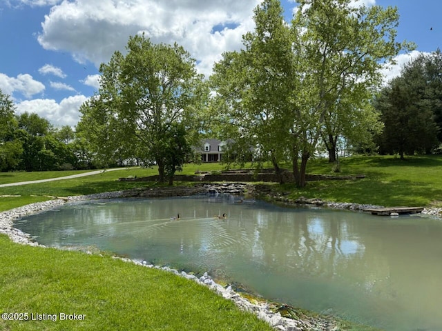 water view