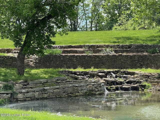 view of local wilderness