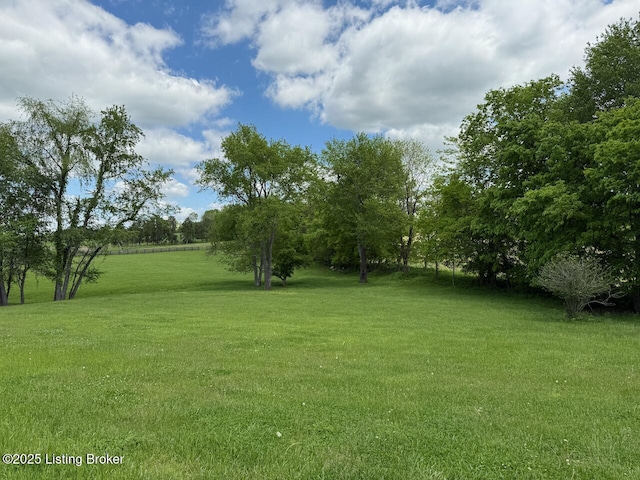view of grassy yard
