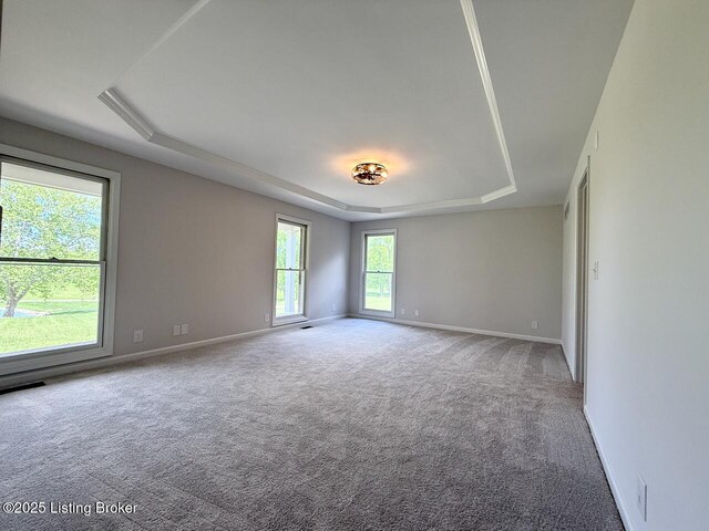 carpeted spare room featuring a raised ceiling and baseboards