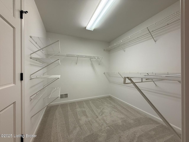 walk in closet featuring carpet flooring