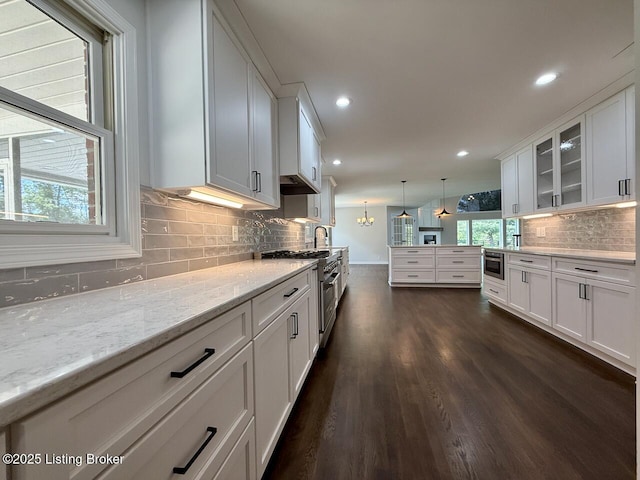 kitchen with white cabinets, dark wood-type flooring, stainless steel appliances, glass insert cabinets, and backsplash