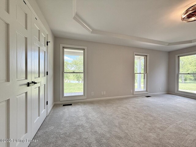 carpeted empty room with a raised ceiling and baseboards