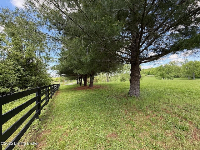 view of yard