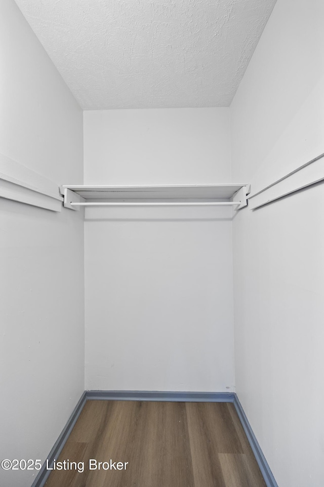 spacious closet featuring wood finished floors