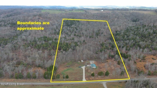 1400 Bewleyville Rosetta Rd, Irvington, KY 40146 - bird's eye view featuring a wooded view