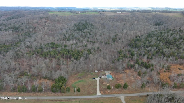 1400 Bewleyville Rosetta Rd, Irvington, KY 40146 - aerial view featuring a wooded view