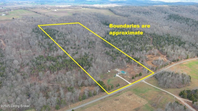1400 Bewleyville Rosetta Rd, Irvington, KY 40146 - aerial view