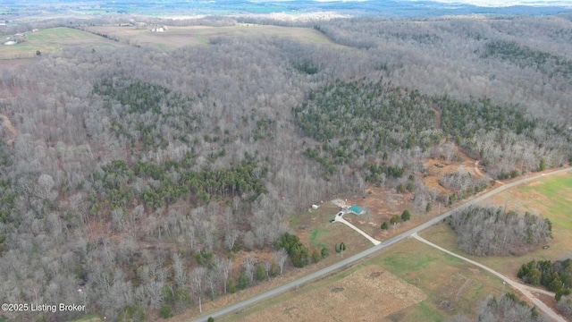 1400 Bewleyville Rosetta Rd, Irvington, KY 40146 - drone / aerial view with a view of trees