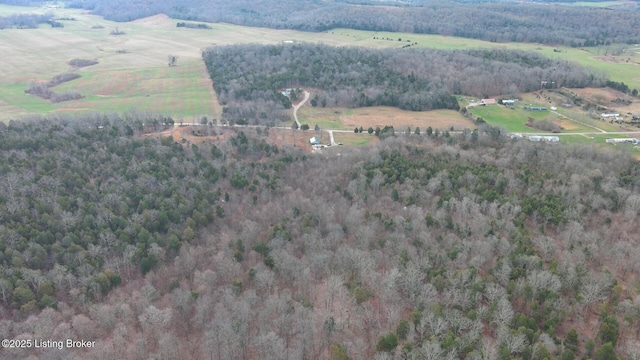 1400 Bewleyville Rosetta Rd, Irvington, KY 40146 - bird's eye view with a rural view