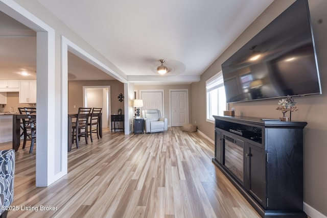 432 Four Seasons Rd, Falls Of Rough, KY 40119 - living room featuring light wood finished floors and baseboards