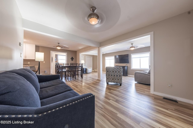 432 Four Seasons Rd, Falls Of Rough, KY 40119 - living room with ceiling fan, light wood-style flooring, plenty of natural light, and baseboards