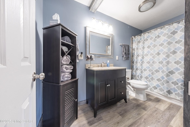 432 Four Seasons Rd, Falls Of Rough, KY 40119 - full bath featuring wood finished floors, toilet, vanity, and a shower with shower curtain