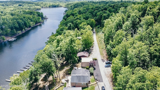 432 Four Seasons Rd, Falls Of Rough, KY 40119 - aerial view of a large body of water and a heavily wooded area
