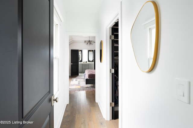 hall featuring hardwood / wood-style floors