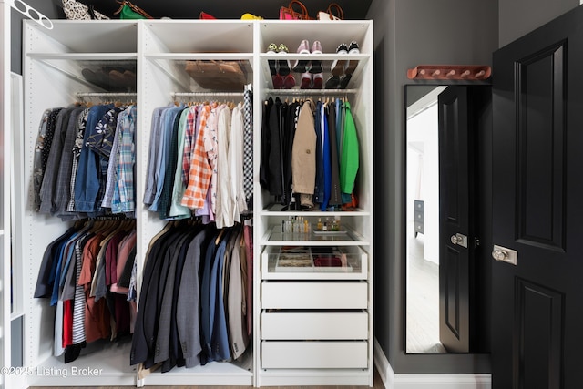 view of closet