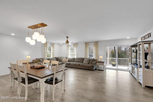 100 Bellemeade St, Brandenburg, KY 40108 - dining space with ceiling fan, recessed lighting, wood finished floors, and a healthy amount of sunlight