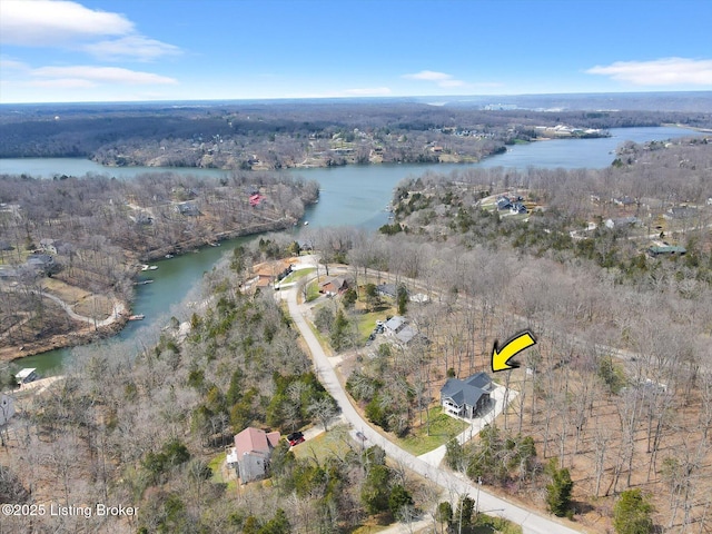 100 Bellemeade St, Brandenburg, KY 40108 - aerial view featuring a water view and a view of trees