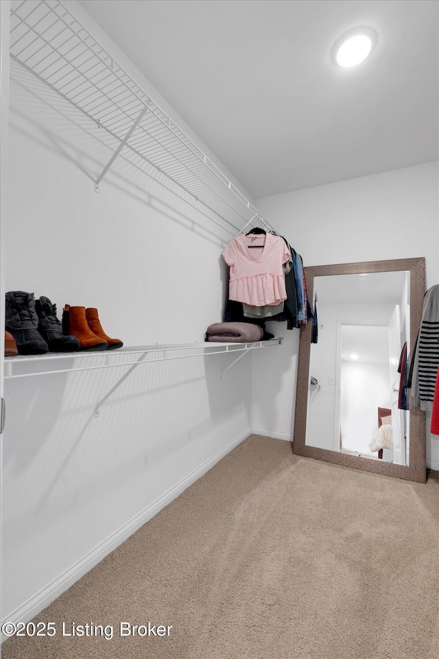 100 Bellemeade St, Brandenburg, KY 40108 - spacious closet with carpet flooring