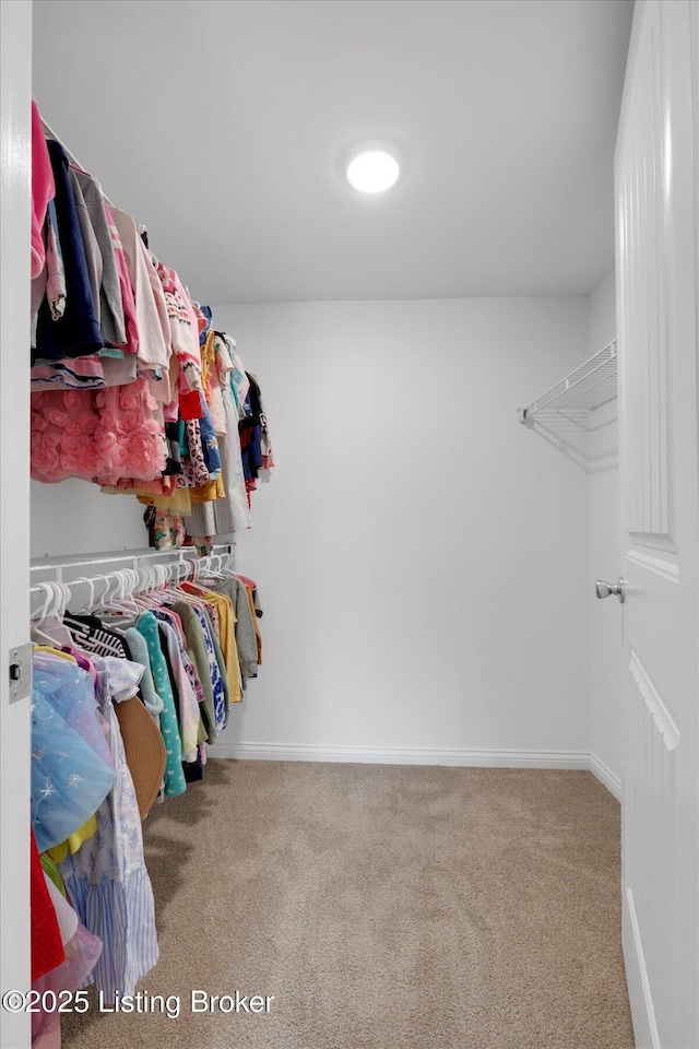 100 Bellemeade St, Brandenburg, KY 40108 - spacious closet with carpet