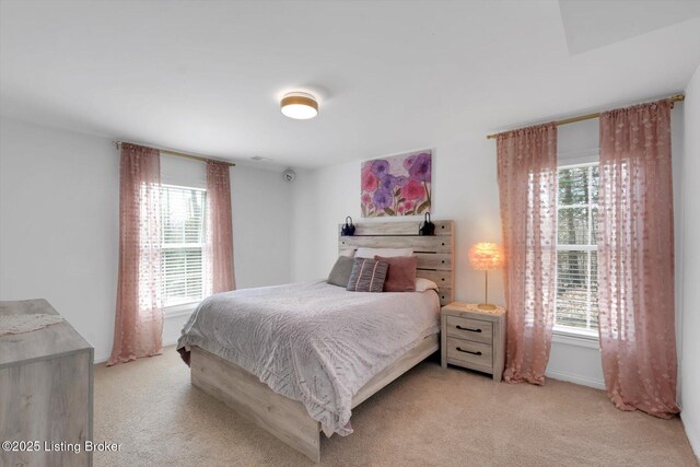 100 Bellemeade St, Brandenburg, KY 40108 - bedroom with light carpet, baseboards, and multiple windows