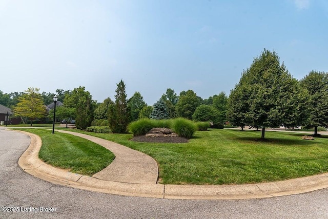 11125 Radleigh Ln, Louisville, KY 40291 - surrounding community featuring a lawn