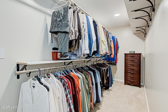 1014 Old Mill Stream Ln, Shepherdsville, KY 40165 - walk in closet with carpet