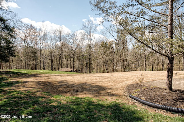1014 Old Mill Stream Ln, Shepherdsville, KY 40165 - view of yard with a wooded view