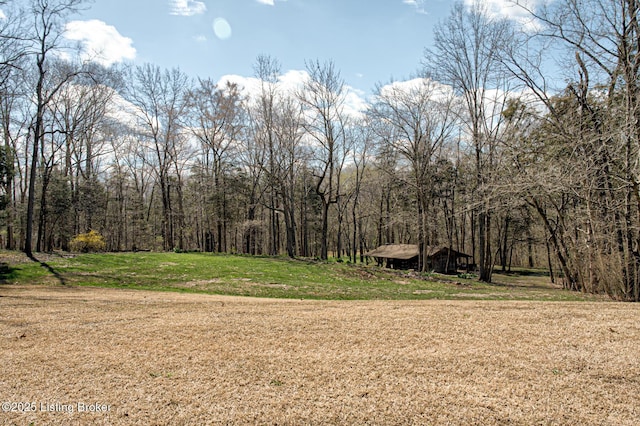 1014 Old Mill Stream Ln, Shepherdsville, KY 40165 - view of grassy yard with a view of trees