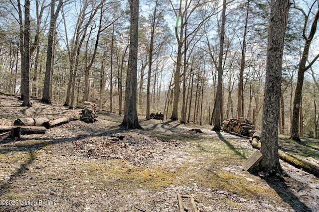 1014 Old Mill Stream Ln, Shepherdsville, KY 40165 - view of undeveloped land
