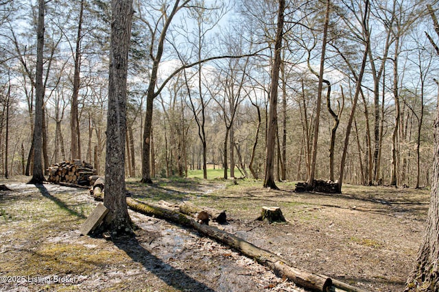 1014 Old Mill Stream Ln, Shepherdsville, KY 40165 - view of yard with a forest view