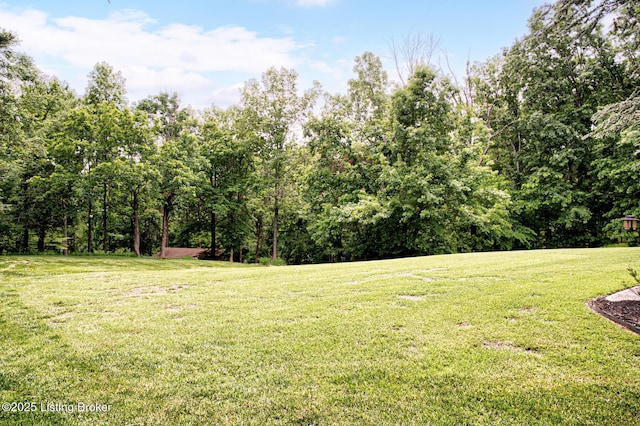 1014 Old Mill Stream Ln, Shepherdsville, KY 40165 - view of green lawn