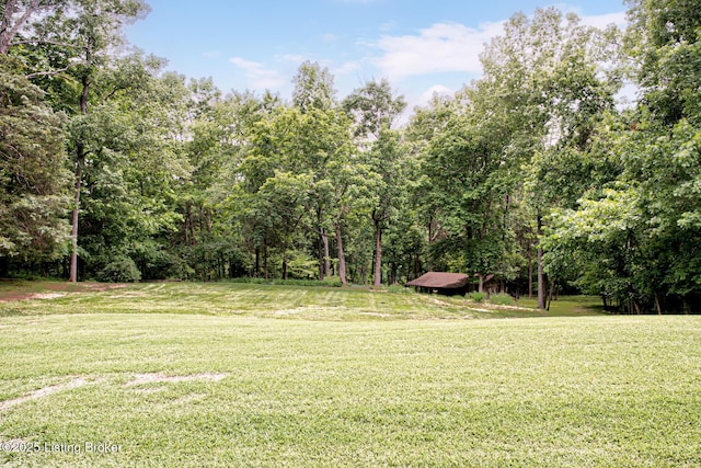 1014 Old Mill Stream Ln, Shepherdsville, KY 40165 - view of green lawn