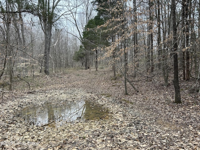 LOT13 Saltsman Dr, Leitchfield, KY 42754 - photo 2
