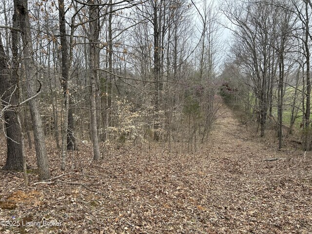 LOT13 Saltsman Dr, Leitchfield, KY 42754 - photo 3