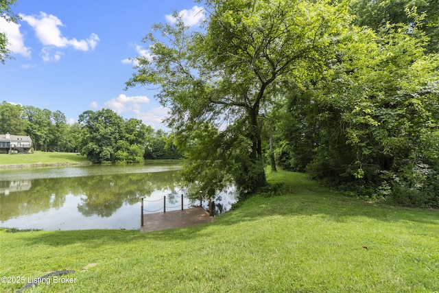 7106 Oak Ter, Pewee Valley, KY 40056 - photo 75