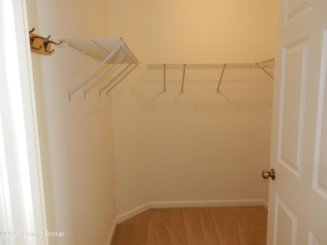 113 Lanai Dr Unit A, Shepherdsville, KY 40165 - spacious closet with light carpet