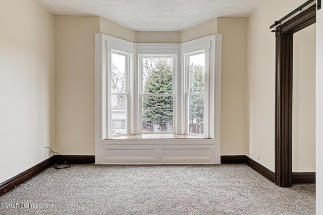 empty room featuring carpet flooring, baseboards, and a textured ceiling