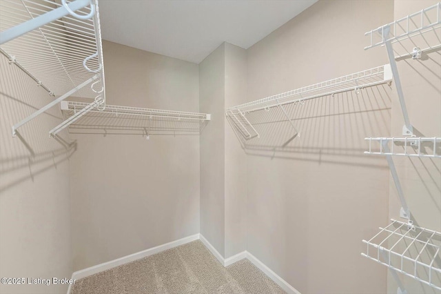 11100 Ornate Pl, Louisville, KY 40228 - photo 17