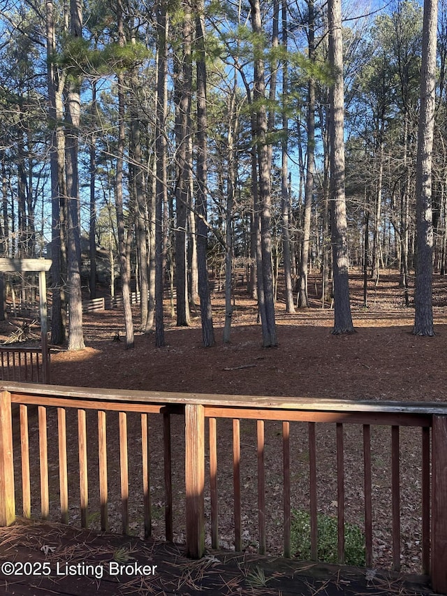 386 Pine Ridge Dr, Brandenburg, KY 40108 - view of yard