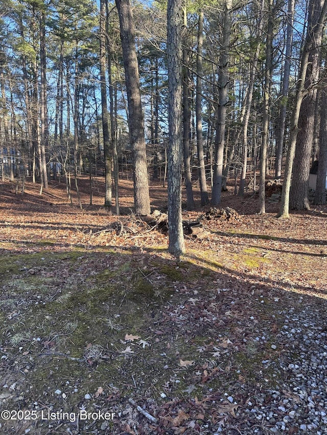 386 Pine Ridge Dr, Brandenburg, KY 40108 - view of yard
